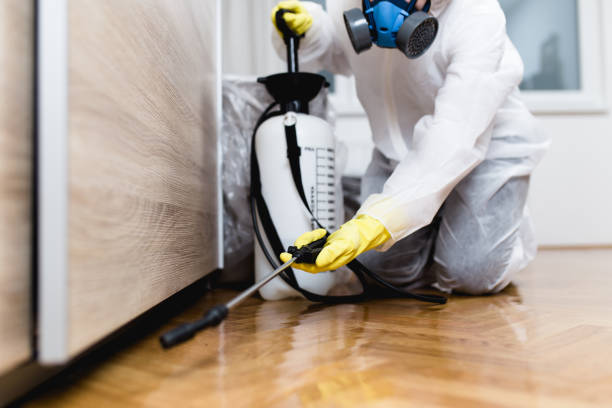 Best Bed Bug Extermination  in Belpre, OH