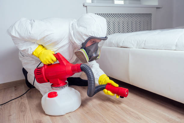 Best Affordable Exterminators  in Belpre, OH
