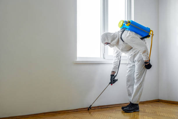 Best Pest Removal Services  in Belpre, OH