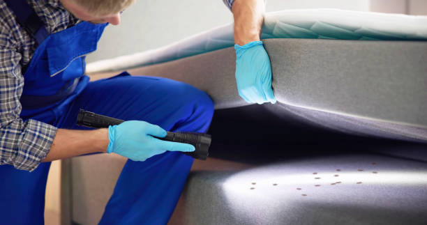 Best Pest Prevention Services  in Belpre, OH