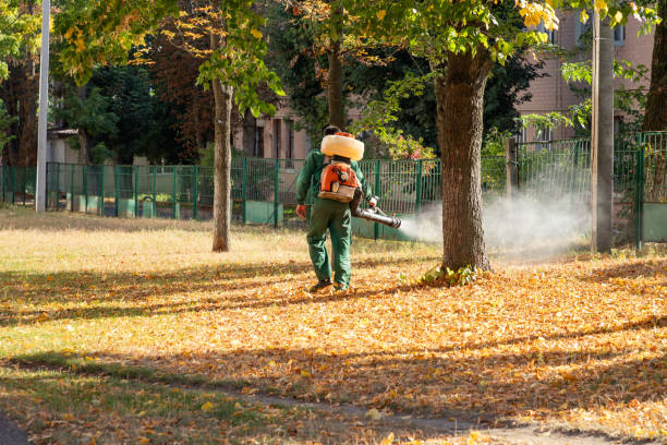 Best Rat Extermination Near Me  in Belpre, OH
