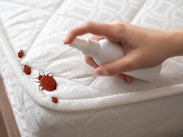 Best Emergency Pest Control  in Belpre, OH