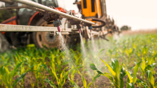 Best Pest Removal Services  in Belpre, OH