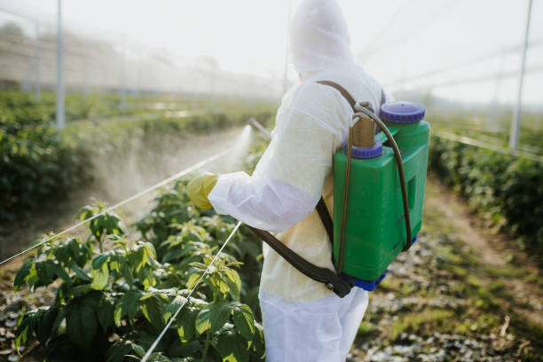 Best Bed Bug Extermination  in Belpre, OH